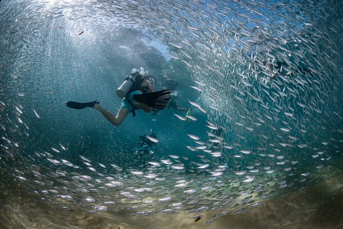 2 Dives in the Cabo Marine Park - Cabo’s Marine Park, Seen From a Small Boat