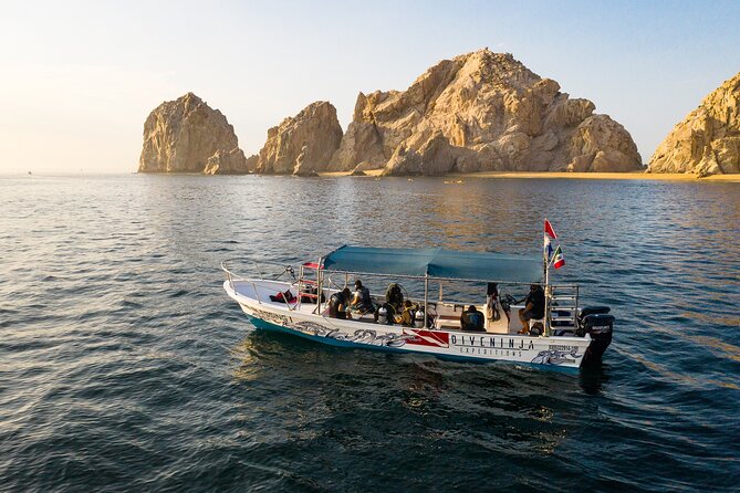 2 Dives in the Cabo Marine Park - Is $135 a Fair Price?