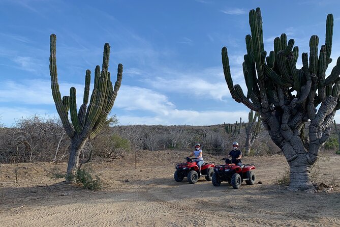 2-Hour ATV Riding Experience in San Jose del Cabo - Who will enjoy this ATV outing most