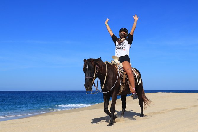 2 Hours Horseback Riding Adventure in Cabo - Is $155 or more a fair price?