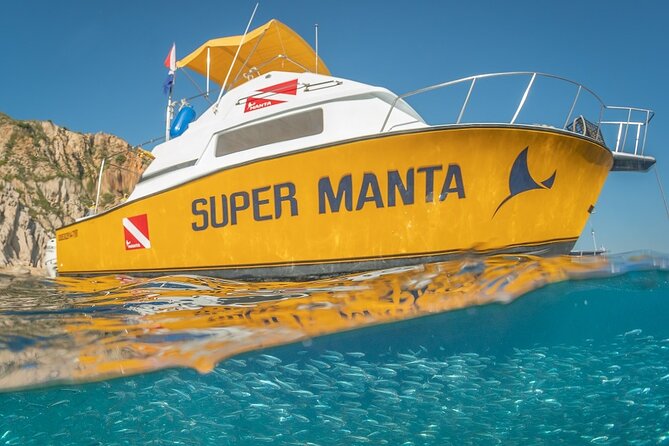 2-Tank Scuba Dive in Cabo San Lucas Reserve for Certified Divers - Pelican Rock and the Sea of Cortez wildlife