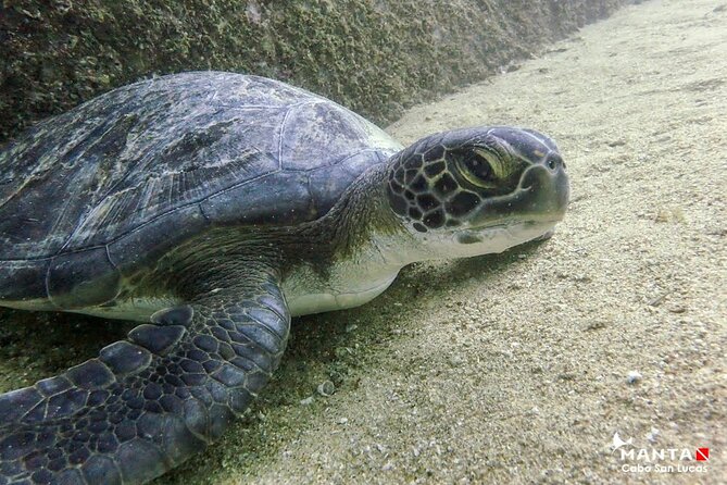 2-Tank Scuba in Marine Reserve and Corridor for Certified Divers - Weather and visibility are part of the decision