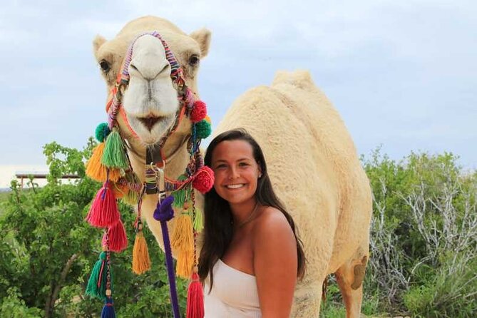 2x1 Tour: Cabo San Lucas Arch + Camels Ride + Pick up! - Transport, timing, and group size
