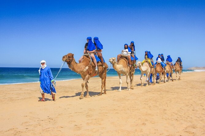 2x1 Tour: Cabo San Lucas Arch + Camels Ride + Pick up! - Seeing the Arch from a transparent boat