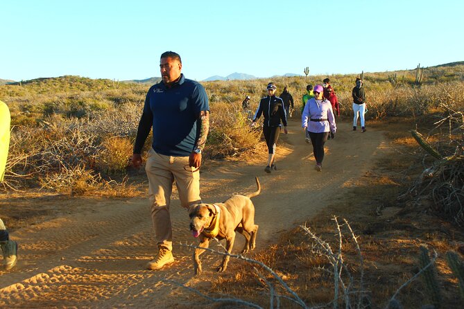 3 Hour Hiking Activity at the Hidden Arch Of Los Cabos - What the $59 price really covers