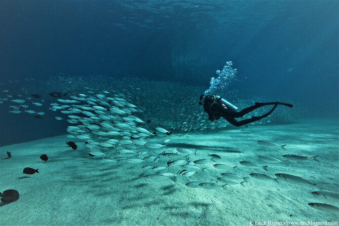 3-Tank Scuba in Marine Reserve and Corridor for Certified Divers - The Marine Park and the first underwater session