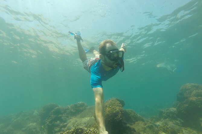 4-Hour Snorkeling Tour in Cabo San Lucas and Corridor - Pelican Rock: The Easiest Start