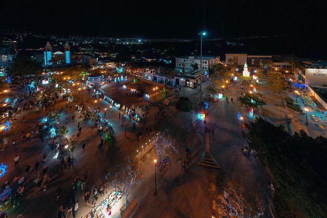 4 Hours Art Walk Experience in Cabo - Who will enjoy this four-hour outing most