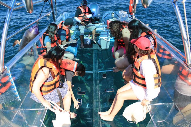 45 Minute Transparent Boat Ride to the Arch of Cabo San Lucas - Timing, Group Size, and Finding the Marina