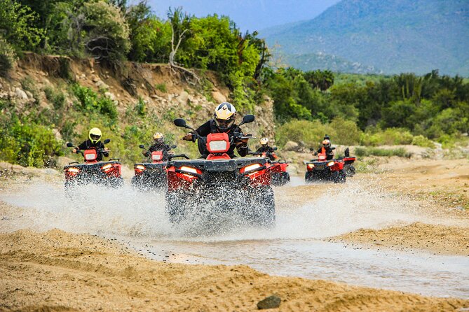 4x4 ATV Adventure with Tequila Tasting and Mexican Buffet Lunch - Key points to know before booking