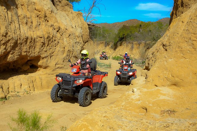 4x4 ATV Adventure with Tequila Tasting and Mexican Buffet Lunch - Why the oceanfront lunch matters