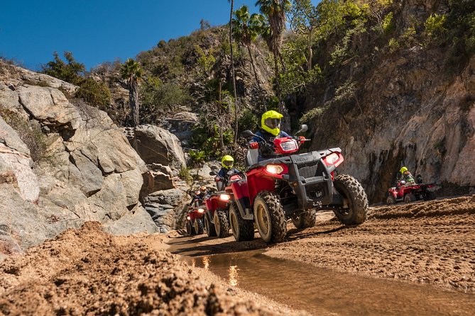 4x4 ATV Adventure with Tequila Tasting and Mexican Buffet Lunch - Tequila and mezcal after the ride