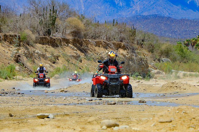 4x4 ATV Adventure with Tequila Tasting and Mexican Buffet Lunch - The real price and what it includes