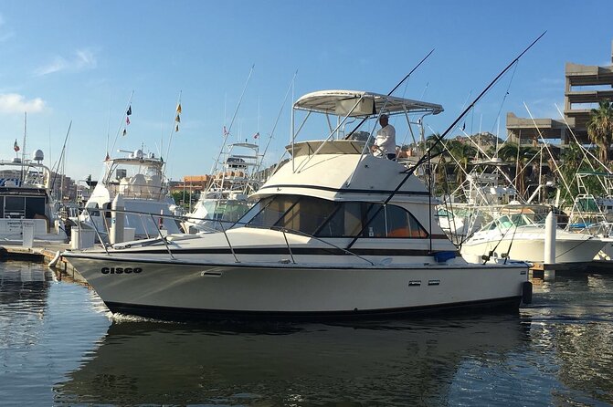 5-Hours Private Fishing Experience in Cruiser in Cabo San Lucas - Chasing marlin in Pacific and Sea of Cortez waters