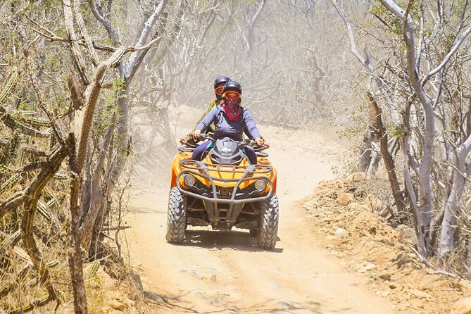 Adventure in Los Cabos Margaritas beach in ATV/UTV desert tour - The real price, not just the $91.50 headline