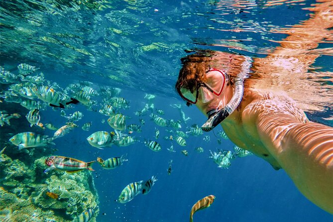 All Inclusive Cabo Boat Tour: Snorkeling, Food, and Drinks - Timing, pickup, and cancellation details