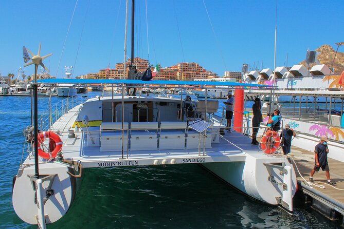All Inclusive Cabo Boat Tour: Snorkeling, Food, and Drinks - Who will enjoy this boat tour most