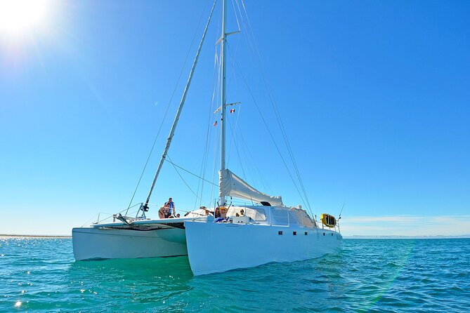 All-Inclusive catamaran Espiritu Santo Island Tour from Los Cabos - Is $458.20 a fair price?