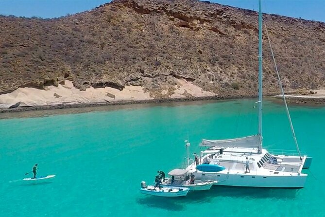 All-Inclusive catamaran Espiritu Santo Island Tour from Los Cabos - Who will enjoy this day most
