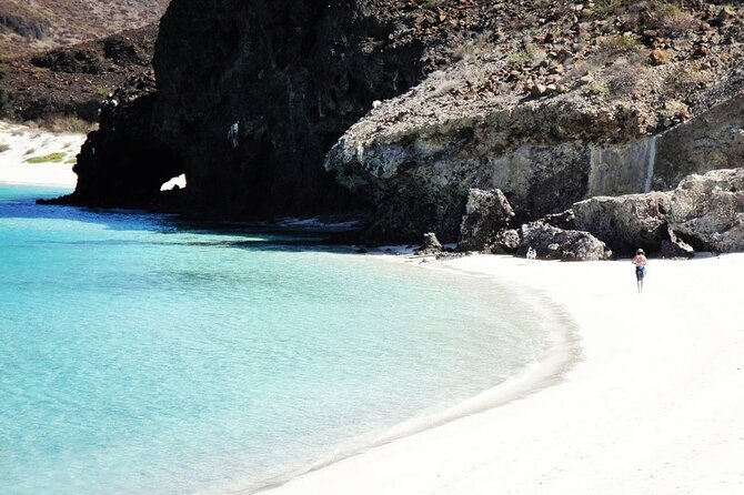 All-Inclusive catamaran Espiritu Santo Island Tour from Los Cabos - Practical details that can make the day easier