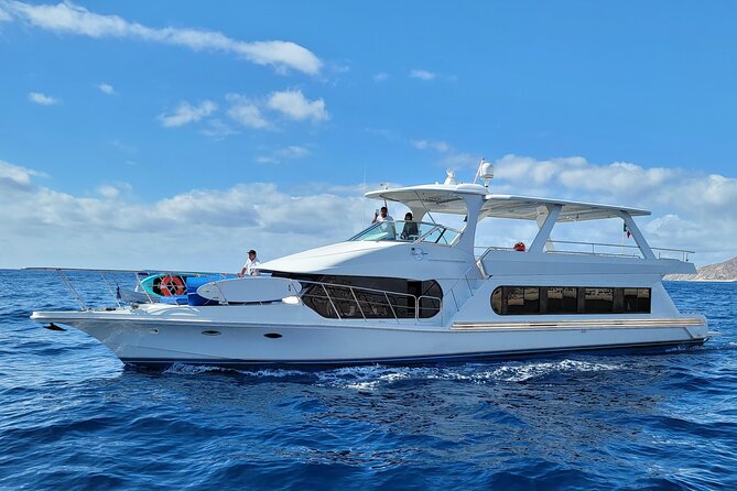 All Inclusive HUGE 75ft Yacht Up to 50 Guests Early Bird Promo - Why this yacht works well for a private Cabo day