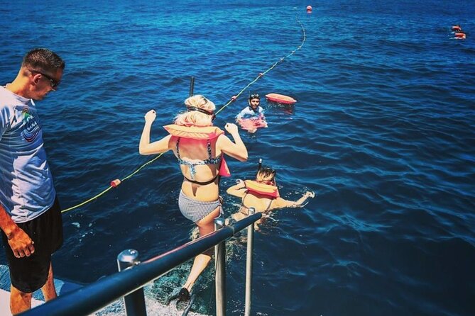 Amazing Cabo and Snorkel Adventure - What $122.56 buys you