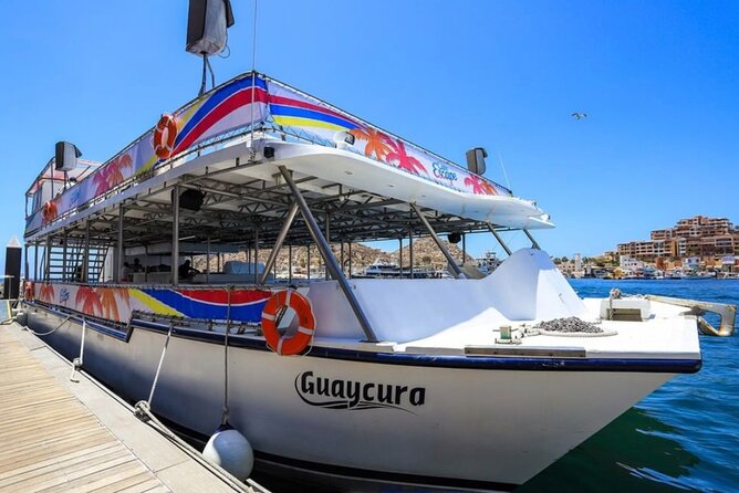 Amazing Cabo and Snorkel Adventure - The ride from Medano Beach to Chileno Bay