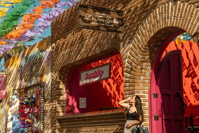 Art and Wine Evening City tour in San Jose del Cabo for Adults - Key points at a glance