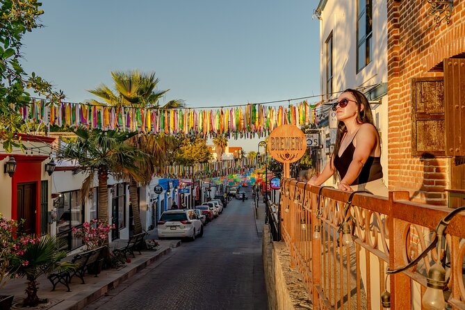 Art and Wine Evening City tour in San Jose del Cabo for Adults - Tacos, wine, beer, and changing tasting details