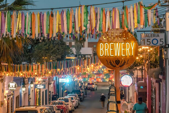 Art and Wine Evening City tour in San Jose del Cabo for Adults - Guides, group size, and the overall pace