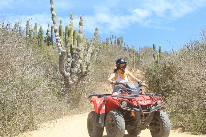 ATV and Camel Experience Los Cabos - Should you book ATV and Camel Experience Los Cabos?
