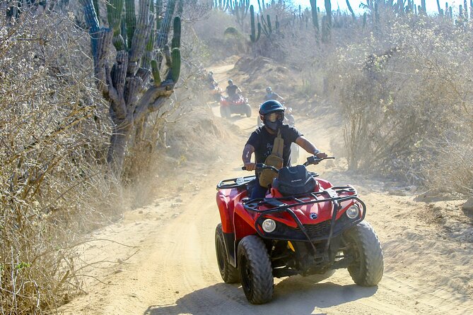 ATV and Camel Experience Los Cabos - Playa Migrino brings the ocean into the desert