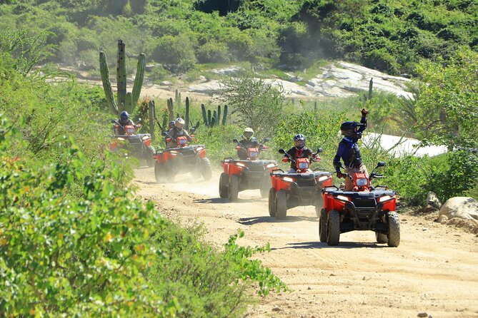 ATV Tour, Camel Ride, Tequila Tasting and Mexican Buffet Lunch - Two Cabo adventures at Tierra Sagrada