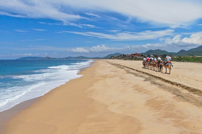 ATV Tour, Camel Ride, Tequila Tasting and Mexican Buffet Lunch - Tequila tasting and a buffet by the water
