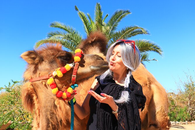 ATV Tour, Camel Ride, Tequila Tasting and Mexican Buffet Lunch - The real price: $149 is not the final total