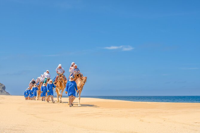 ATV Tour, Camel Ride, Tequila Tasting and Mexican Buffet Lunch - How the guides shape the day
