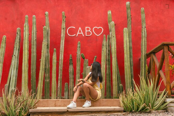 ATV Tour, Camel Ride, Tequila Tasting and Mexican Buffet Lunch - Who will get the most from this tour