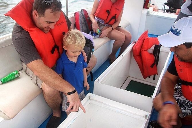 Authentic Cabo San Lucas Tour - Group size, comfort, and pace