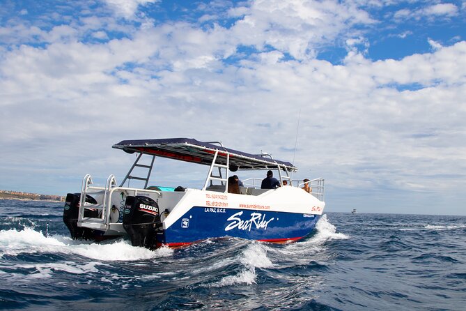 Bay Trip and the Arch of Cabo San Lucas - Drinks, cost, and what you really receive