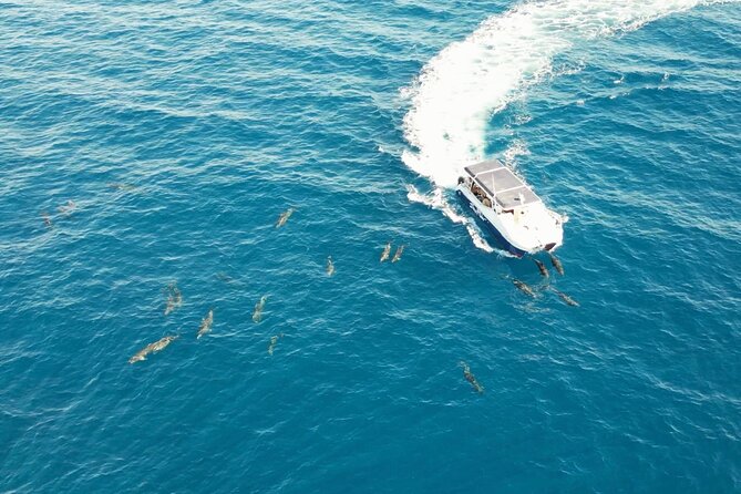Bay Trip and the Arch of Cabo San Lucas - Who may want a longer tour