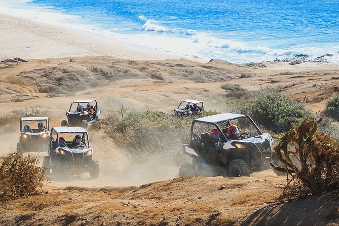 Beach and Desert UTV Tour in Cabo - The real cost of a $110 outing