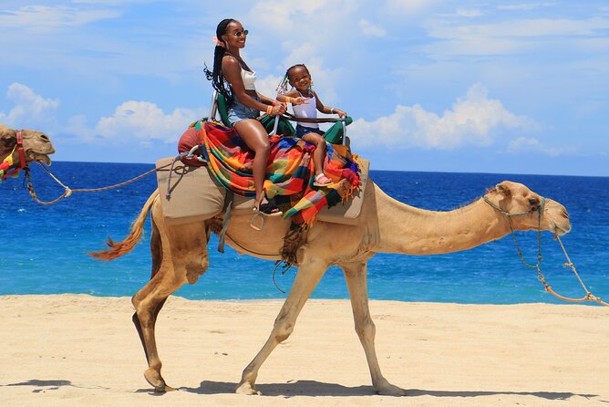 Beach, ATV, and Camel Ride Combo Tour - The ATV ride across Baja’s dunes