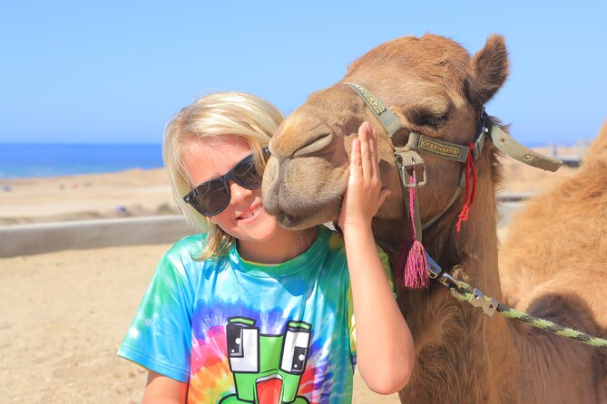 Beach Camel Ride and Encounter in Cabo - Key points to know before booking