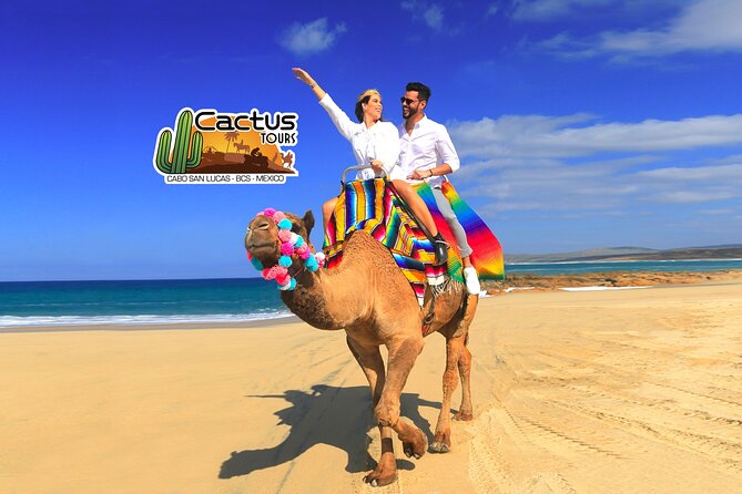 Beach Camel Ride and Encounter in Cabo - A camel ride beside the Pacific Ocean