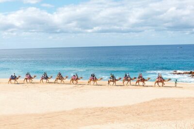 Beach Camel Ride and Encounter in Cabo