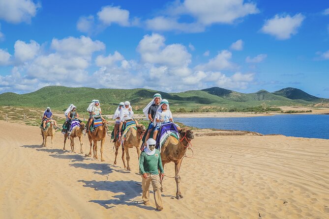 Beach Camel Ride and Encounter in Cabo - Transportation can change the whole day