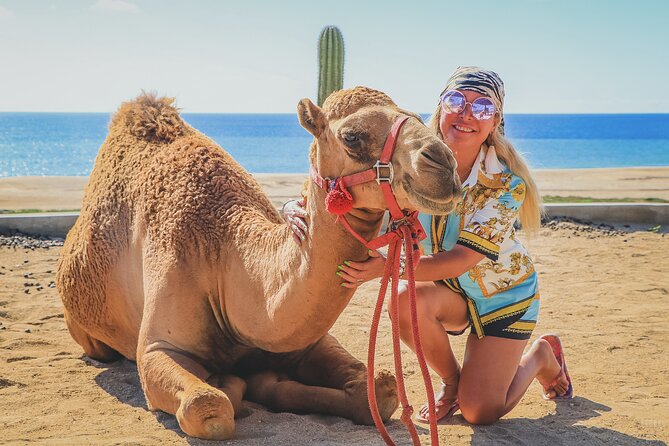 Beach Camel Ride and Encounter in Cabo - The $71.25 price is not the final price