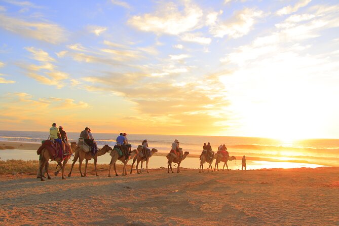 Beach Camel Ride and Encounter in Cabo - Photos, phones, and the extra-cost problem