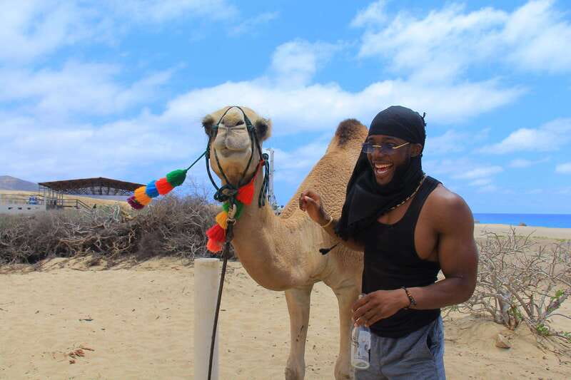 Beach Camel Ride & Encounter in Cabo by Cactus tours park - Key points at a glance