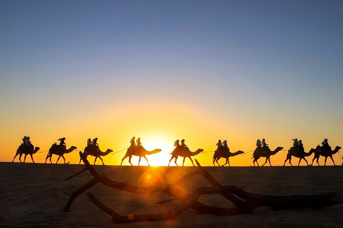 Beach CAN-AM SXS X3 and Camel Ride in Cabo - One hour in the Can-Am SXS